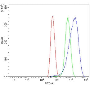 Flow cytometry testing of human U-87 MG cells with Endoglin antibody at 1ug/million cells (blocked w