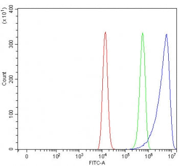 Flow cytometry testing of fixed and permeabilized human HEL cells with SEPN1 antibody at 1ug/million