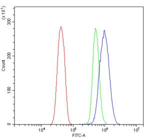 Trem2 Antibody