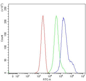 Flow cytometry testing of mouse ANA-1 cells with Fanca antibody at 1ug/million cells (blocked with g