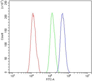 PAX4 Antibody