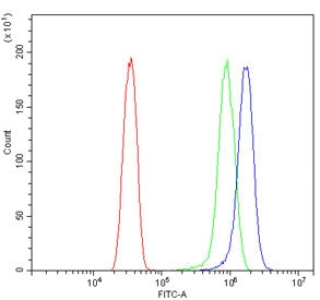 Flow cytometry testing of human HeLa cells with GMP Synthase antibody at 1ug/million cells (blocked