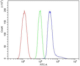 Helios Antibody / ZNFN1A2 / IKZF2