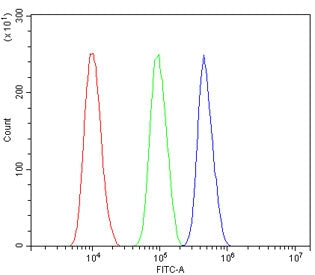 Flow cytometry testing of human SiHa cells with ASXL1 antibody at 1ug/million cells (blocked with go
