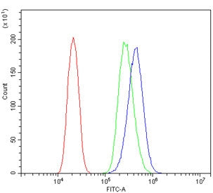 14-3-3 zeta/delta Antibody / YWHAZ