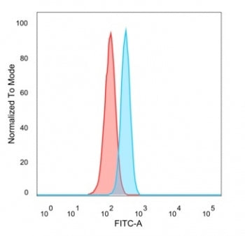 IRF3 Antibody