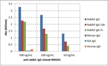 Biotinylated Rabbit IgG Antibody