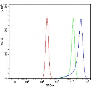 OVGP1 Antibody / Oviduct-specific glycoprotein