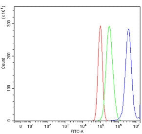 E2F1 Antibody