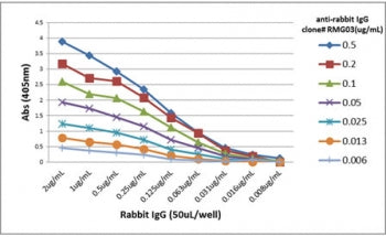 Rabbit IgG Antibody