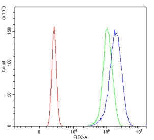Flow cytometry testing of human U-2 OS cells with CCNT1 antibody at 1ug/million cells (blocked with