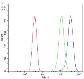 Flow cytometry testing of human HeLa cells with RAPGEF2 antibody at 1ug/million cells (blocked with