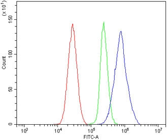 Par1 Antibody / F2r / Thrombin Receptor