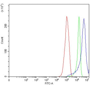 Flow cytometry testing of human RT4 cells with HCLS1 antibody at 1ug/million cells (blocked with goa