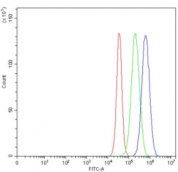 Flow cytometry testing of human U-87 MG cells with DDB2 antibody at 1ug/million cells (blocked with
