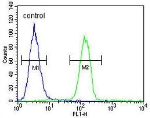 GSN Antibody / Gelsolin