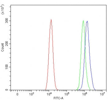 Flow cytometry testing of human HEL cells with RBM11 antibody at 1ug/million cells (blocked with goa