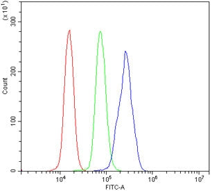 RGS18 Antibody