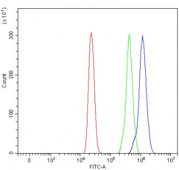 Flow cytometry testing of human HL60 cells with 4E-T antibody at 1ug/million cells (blocked with goat sera); Red=cells alone, Green=isotype control, Blue= 4E-T antibody.