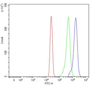 Flow cytometry testing of human HL60 cells with SDCCAG3 antibody at 1ug/million cells (blocked with