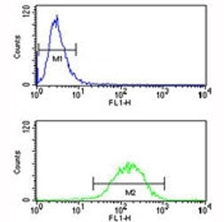 IL1 alpha Antibody