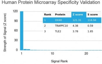Analysis of HuProt(TM) microarray containing more than 19,000 full-length human proteins using OX40