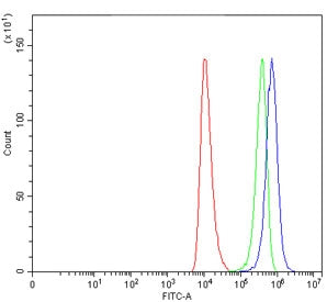 Flow cytometry testing of human HEL cells with SEPT4 antibody at 1ug/million cells (blocked with goa