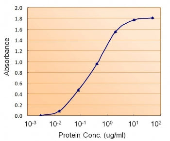 Transthyretin Antibody