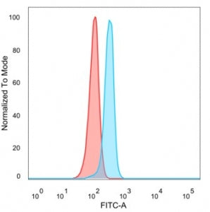 HDGF Antibody / Hepatoma Derived Growth Factor