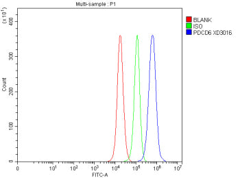PDCD6 Antibody / Programmed cell death protein 6, 100ug
