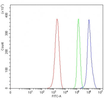 OGFr Antibody / Opioid growth factor receptor