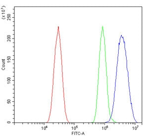 Irf3 Antibody / Interferon regulatory factor 3