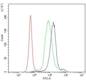 IL-23 Receptor Antibody / IL23R