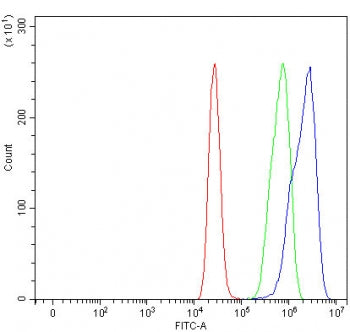 NRDC Antibody / NRD1 / Nardilysin