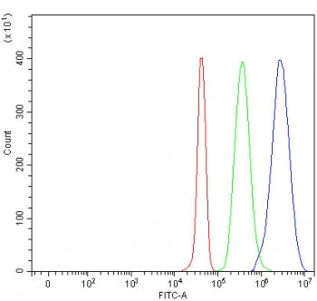 SEMA4A Antibody / Semaphorin 4A / Sema B