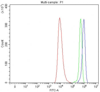 Flow cytometry testing of human HEL cells with SEMA7A antibody at 1ug/million cells (blocked with go