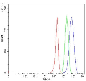 Flow cytometry testing of human 293T cells with TRIT1 antibody at 1ug/million cells (blocked with go