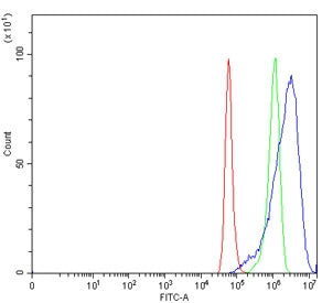 VPS41 Antibody