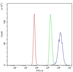 Flow cytometry testing of mouse RAW264.7 cells with CINP antibody at 1ug/million cells (blocked with