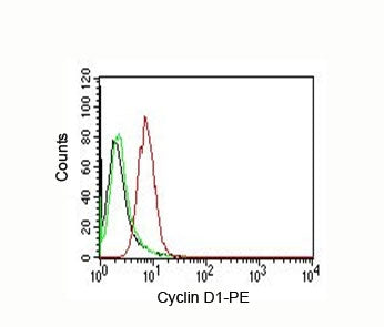 Cyclin D1 Antibody / CCND1