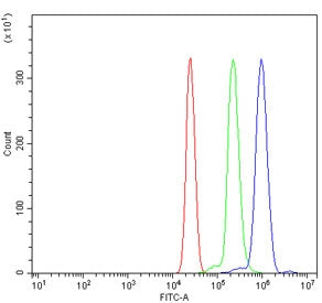 FCGR1A Antibody / CD64
