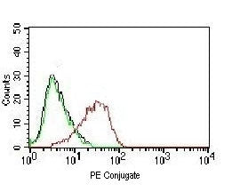 EpCAM Antibody