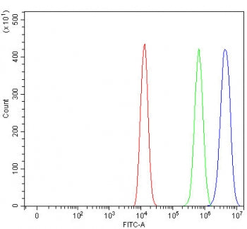 MAD2L1BP Antibody / CMT2