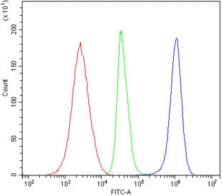 ZAP70 Antibody