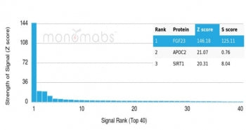 FGF-23 Antibody / Fibroblast Growth Factor 23