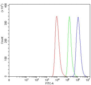 Flow cytometry testing of human HEL cells with CD28 antibody at 1ug/million cells (blocked with goat