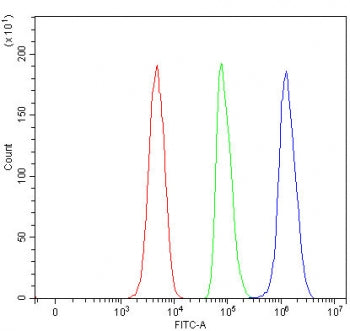 RUFY3 Antibody / RUN and FYVE domain-containing protein 3 / RIPx