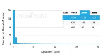 FGF-23 Antibody / Fibroblast Growth Factor 23