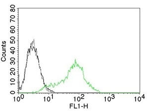 FACS testing of permeabilized human 293T cells with Ku70 + Ku80 antibody. Black=cells alone; Gray=is
