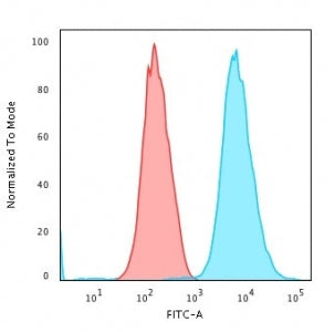 Cytokeratin 18 Antibody